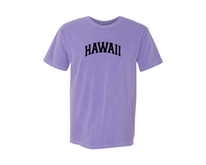 brand:Comfort Colors|color:Violet|Hawaii Usa City State Shirt Graphic T-Shirt