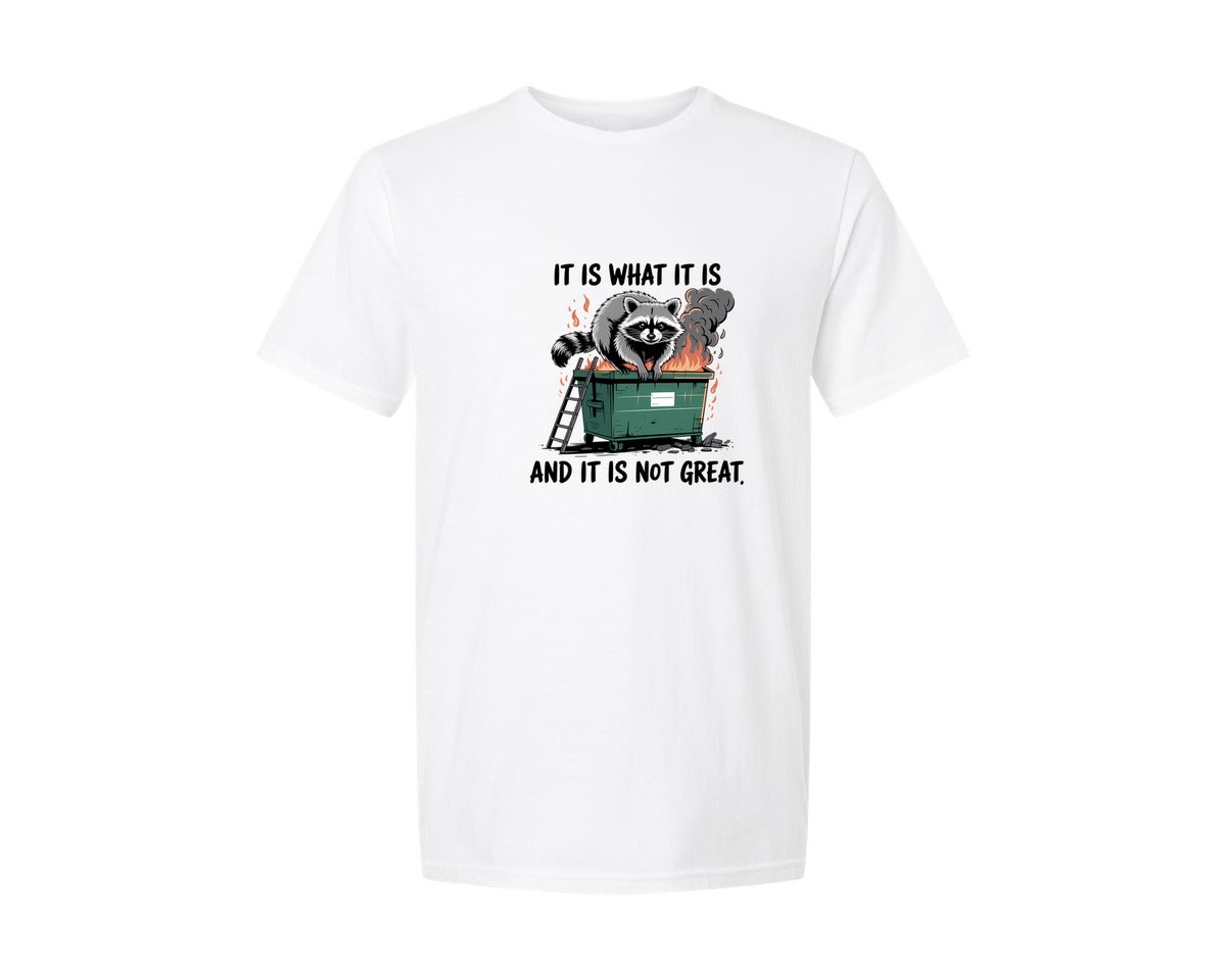 brand:Generic|color:White|Dumpster Fire Raccoon Meme Graphic T-Shirt