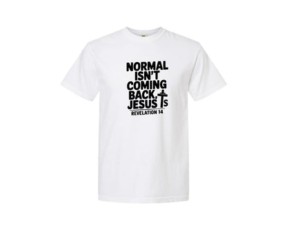 brand:Comfort Colors|color:White|Normal Isnt Coming Back But Jesus Is Sv Graphic T-Shirt
