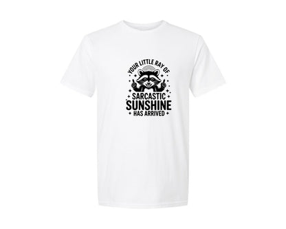 brand:Generic|color:White|Funny Raccoon Sarcastic Saying Quote Graphic T-Shirt