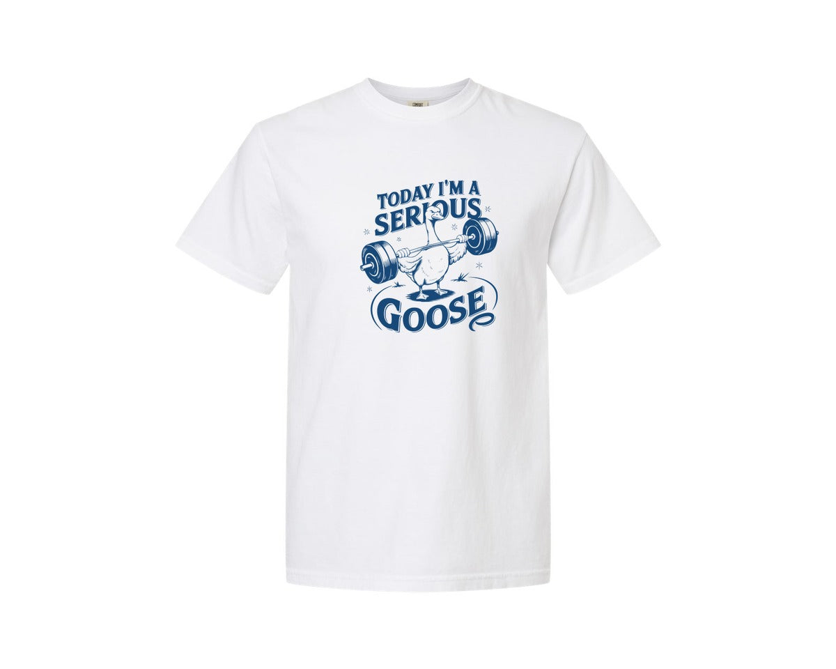brand:Comfort Colors|color:White|Today Im A Serious Goose Bird T Shirt 2 Graphic T-Shirt