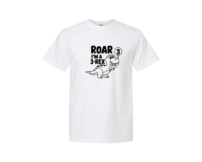 brand:Comfort Colors|color:White|3 Rex Dinosaur Birthday Graphic T-Shirt
