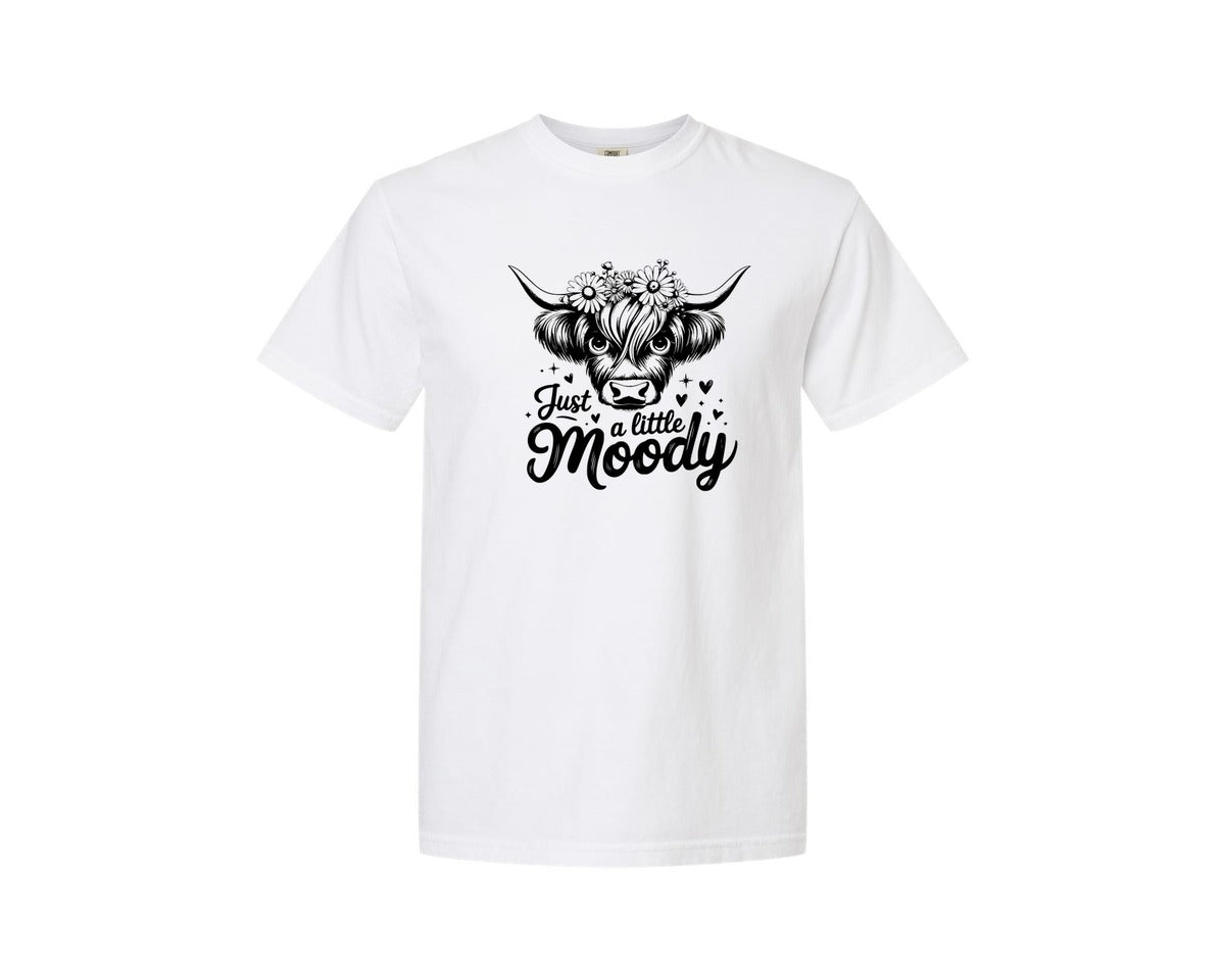 brand:Comfort Colors|color:White|Just A Little Moody T Shirt Design Graphic T-Shirt