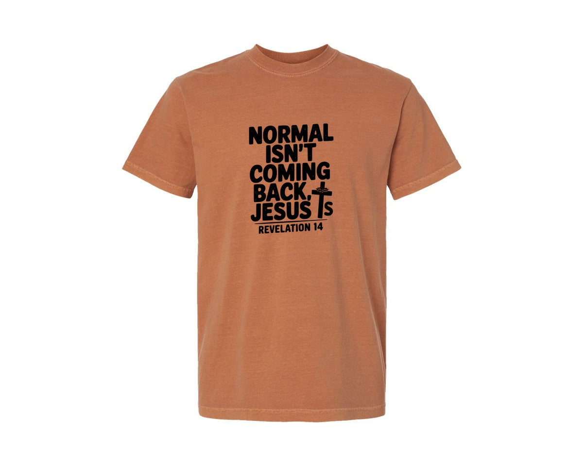 brand:Comfort Colors|color:Yam|Normal Isnt Coming Back But Jesus Is Sv Graphic T-Shirt