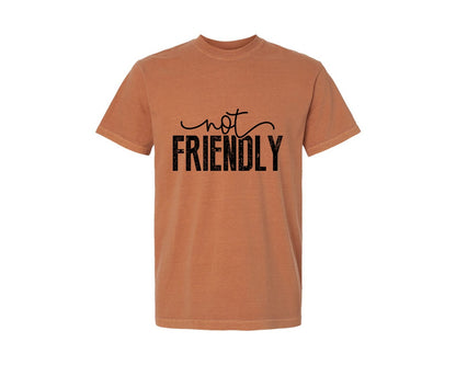 brand:Comfort Colors|color:Yam|Not Friendly Funny Quote Graphic T-Shirt
