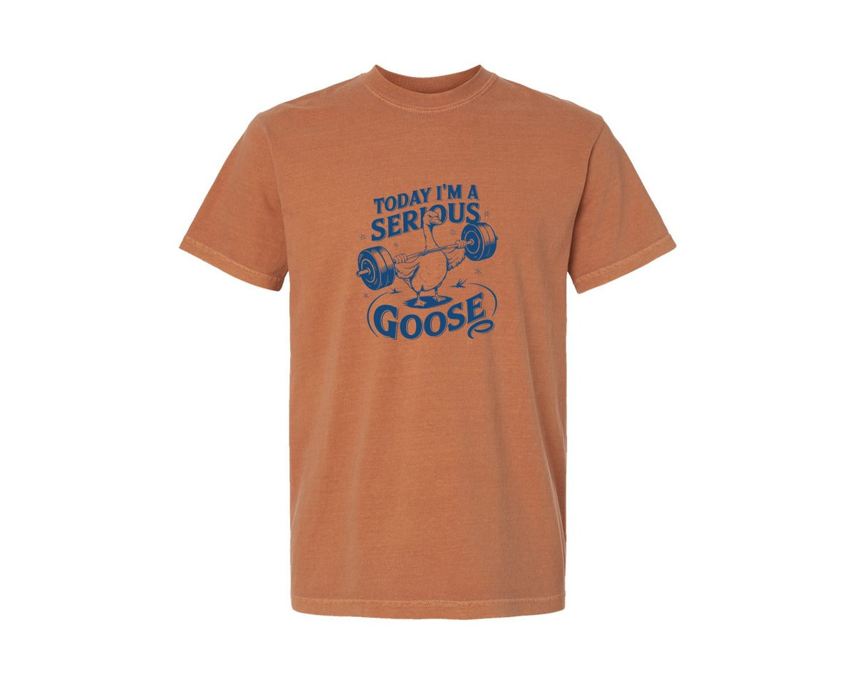 brand:Comfort Colors|color:Yam|Today Im A Serious Goose Bird T Shirt 2 Graphic T-Shirt