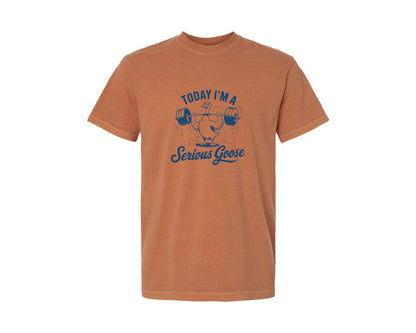 brand:Comfort Colors|color:Yam|Today Im A Serious Goose Bird T Shirt S Graphic T-Shirt