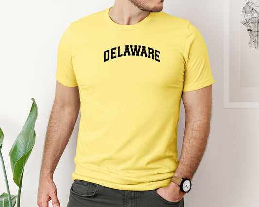 Delaware Usa City State Shirt Graphic T-Shirt