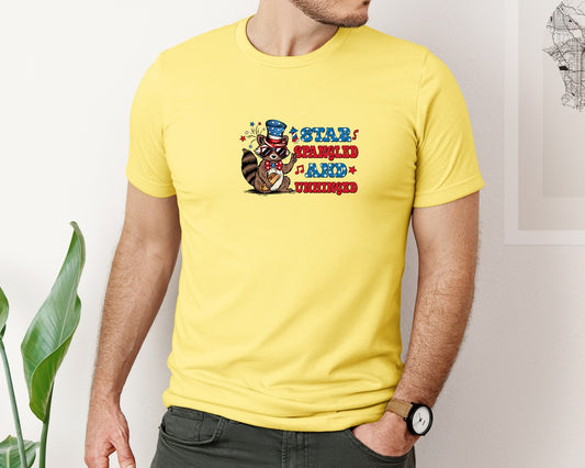 4Th Of July Raccoon Funny Patrotic Graphic T-Shirt